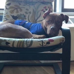 Meet your Posher, Jovanny